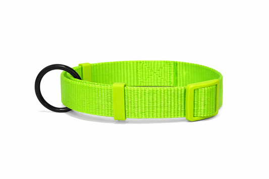 PETRENDS Durable Dog Collar -Neon Green