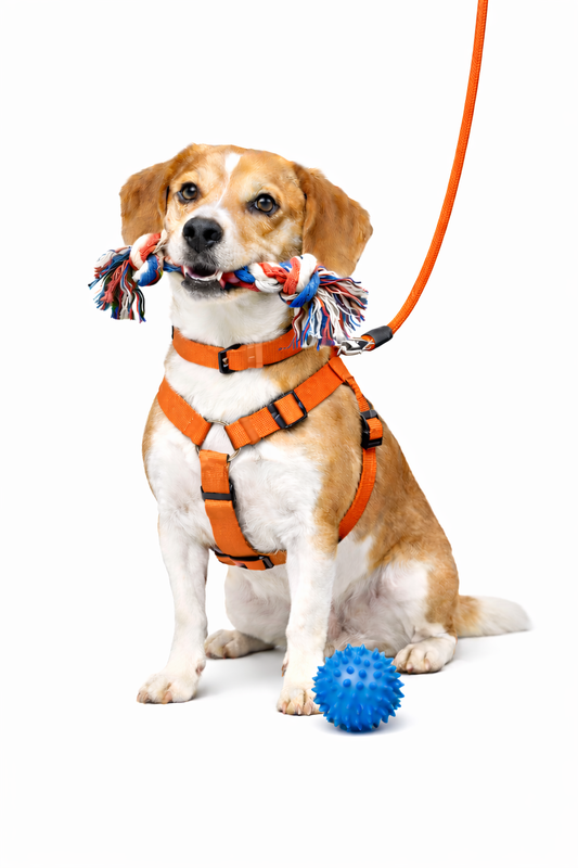 PETRENDS Dog Walk Essential Combo-Adjustable Harness, Collar, Rope With Chew Toy And Rubber Spike Ball