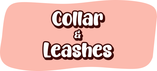 Collars & Leashes