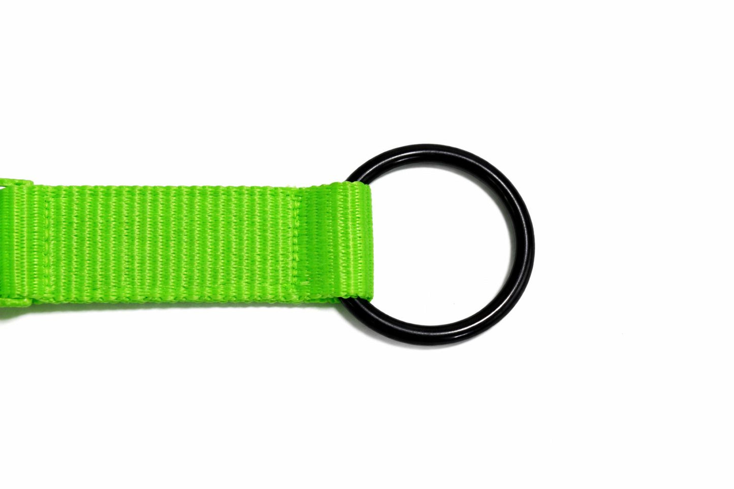 PETRENDS Durable Dog Collar -Neon Green