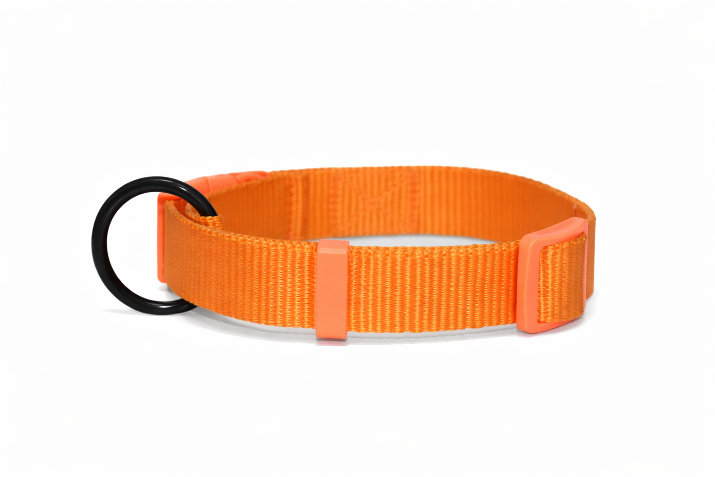 PETRENDS Durable Dog collar - Orange
