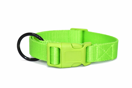 PETRENDS Durable Dog Collar -Neon Green