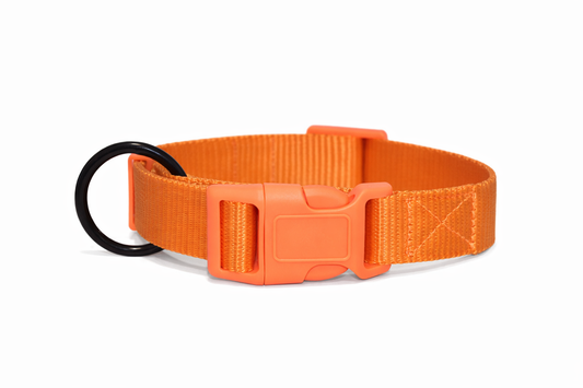 PETRENDS Durable Dog collar - Orange