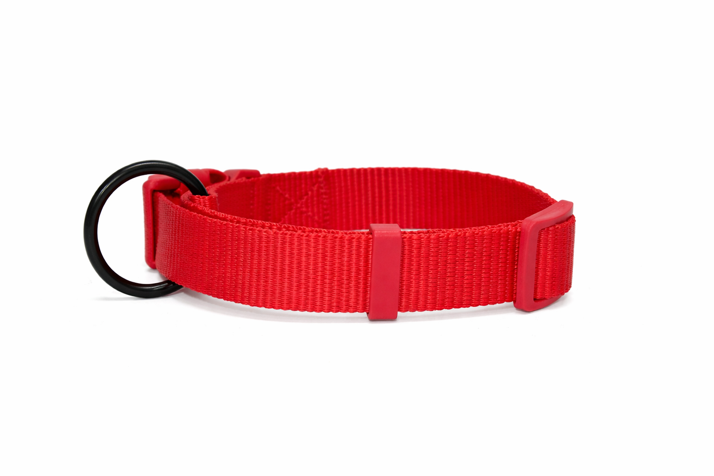 PETRENDS Durable Dog Collar - RED