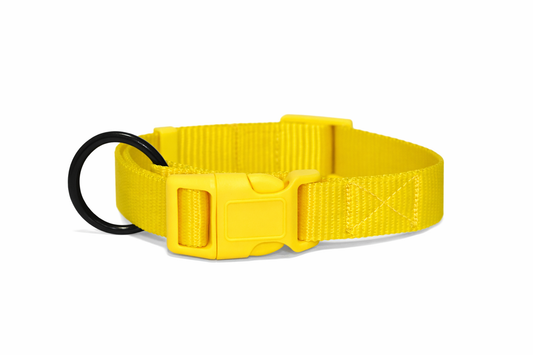 PETRENDS Durable Dog Collar - Yellow