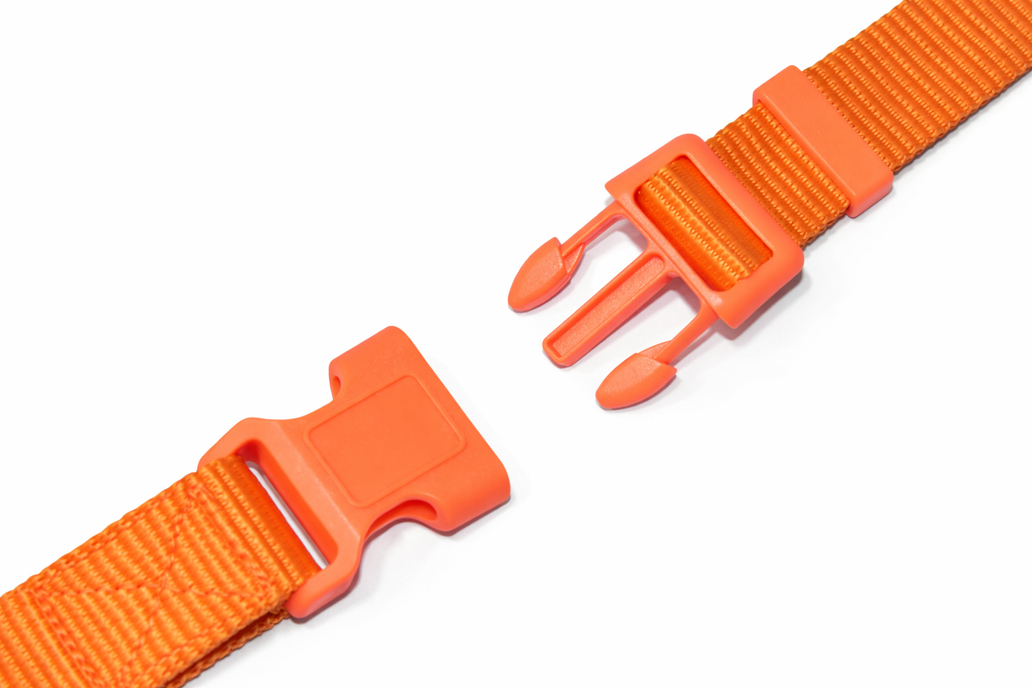 PETRENDS Durable Dog collar - Orange